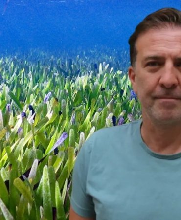Bodrum kıyılarında deniz çayırları alarmı: 22 yılda binlerce hektarlık kayıp yaşandı
