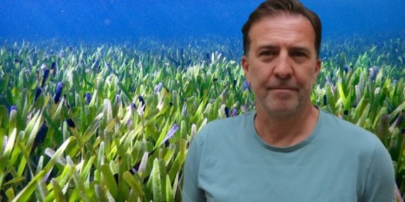 Bodrum kıyılarında deniz çayırları alarmı: 22 yılda binlerce hektarlık kayıp yaşandı