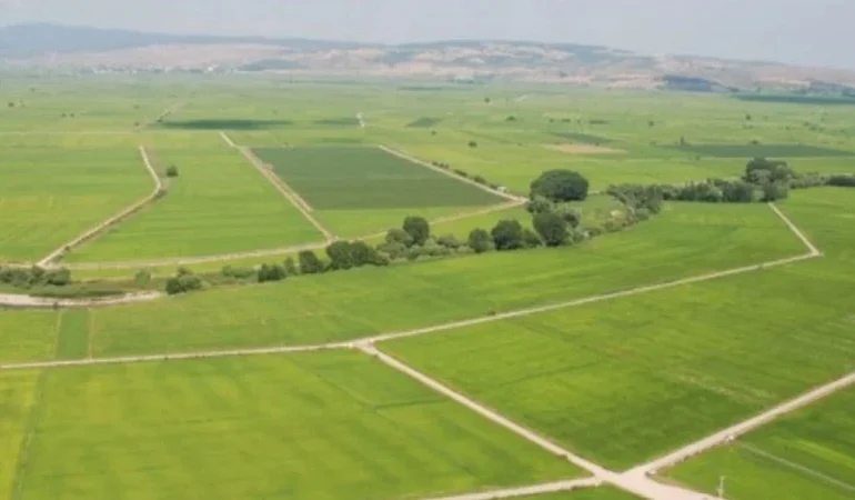 TOKİ Çorum, Burdur, Afyonkarahisar, Kırşehir ve Niğde Arsa Kura Sonuçları Açıklandı mı? İşte Canlı Yayın İsim Listesi!