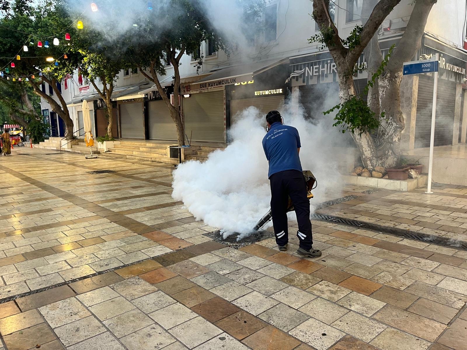 Çarşı Mahallesi’nde Mazgal Temizliği ve İlaçlama Çalışması