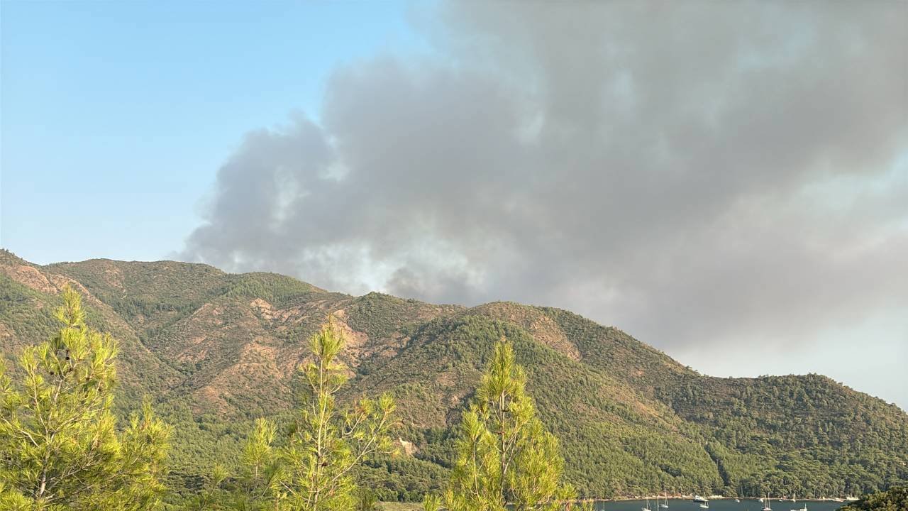 Muğla Marmaris'te orman yangını! Gökyüzünü siyah dumanlar kapladı