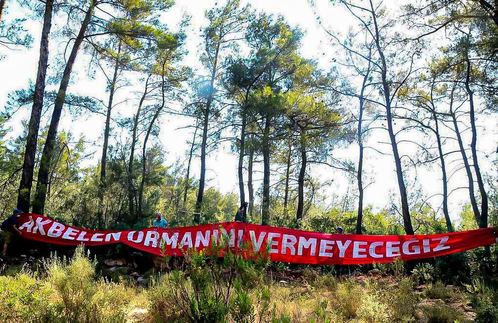 Sanatın Gölgesinde Doğa Kıyımı: Limak'ın Konserine Akbelen Tepkisi