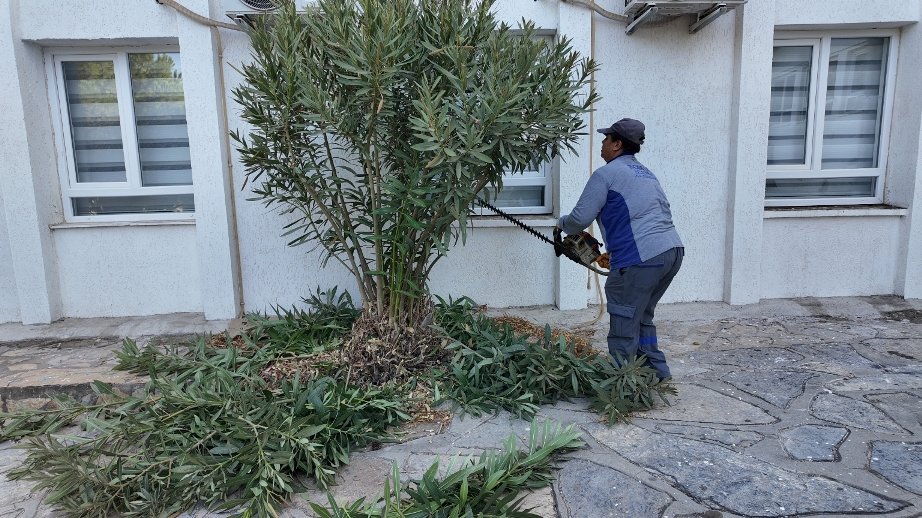 Bodrum Belediyesinden Okullara Bakım ve Onarım Desteği
