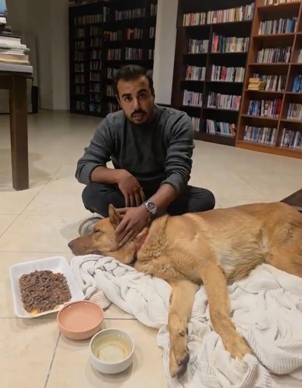 Bodrum Gündoğan’da Köpeğe Araç Çarptı: Tarçın Zorlu Bir Ameliyat Geçirdi