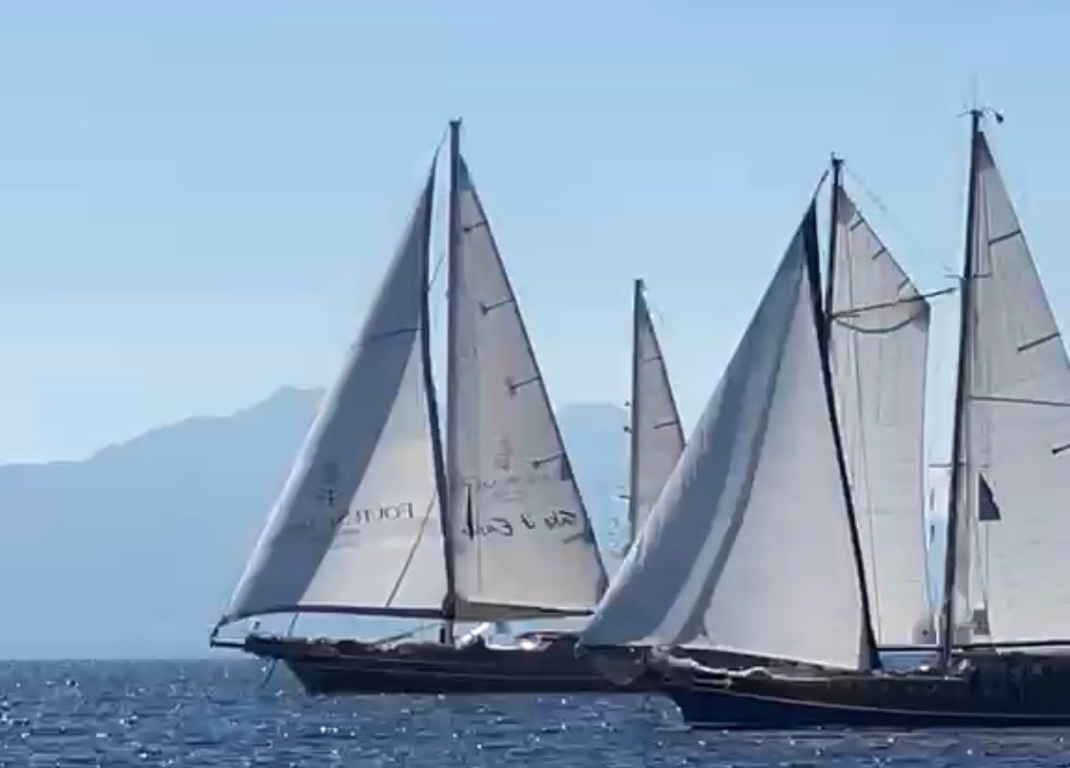 38. The Bodrum Cup başladı! Ancak rüzgarsızlık nedeniyle ilk gün 